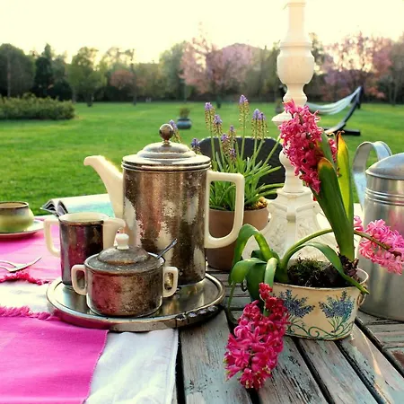 Edera Rossa Bed & Breakfast Treviso