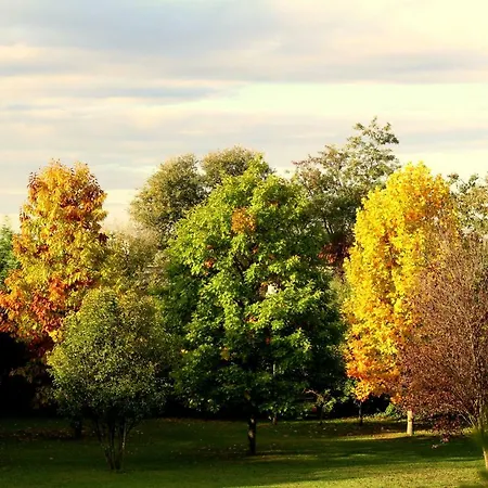 Edera Rossa Bed & Breakfast Treviso