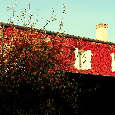 Bed & Breakfast Edera Rossa *