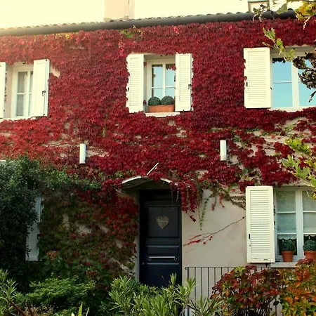 Bed & Breakfast Edera Rossa *