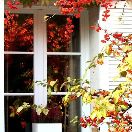 Bed & Breakfast Edera Rossa *