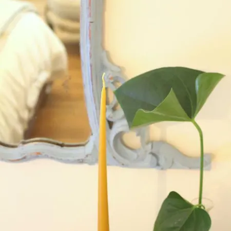 Bed & Breakfast Edera Rossa *