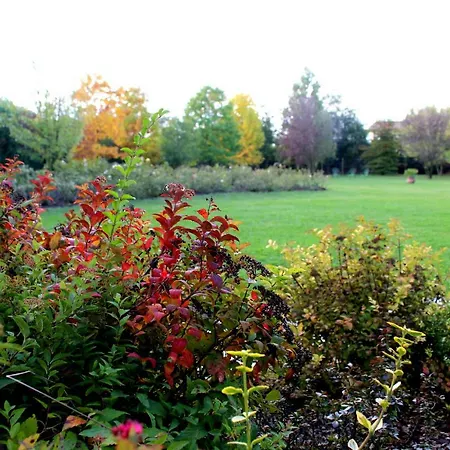 Edera Rossa * Treviso