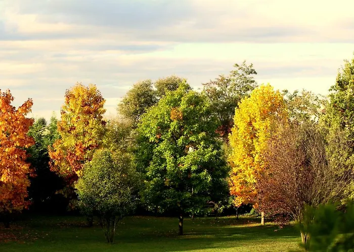 Edera Rossa Oda ve Kahvaltı Treviso