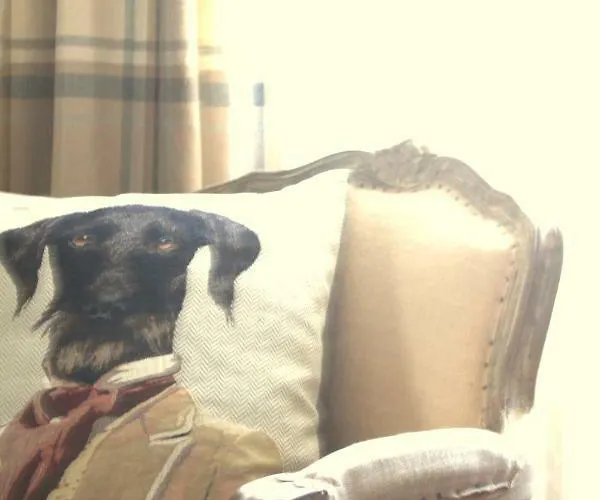 Edera Rossa * Treviso