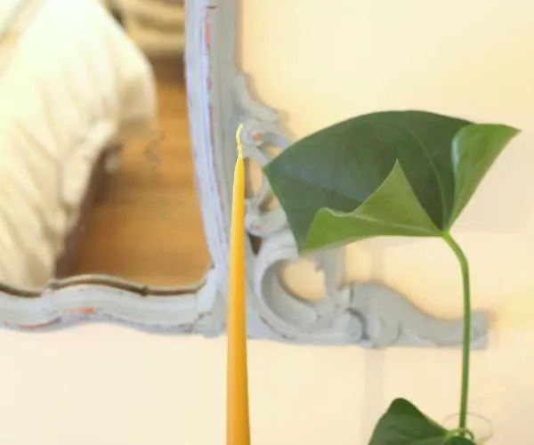 Oda ve Kahvaltı Edera Rossa *