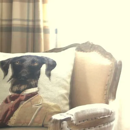 Edera Rossa * Тревизо