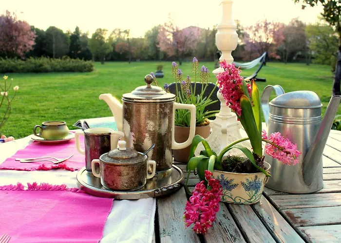 Edera Rossa 住宿加早餐酒店 特雷维索