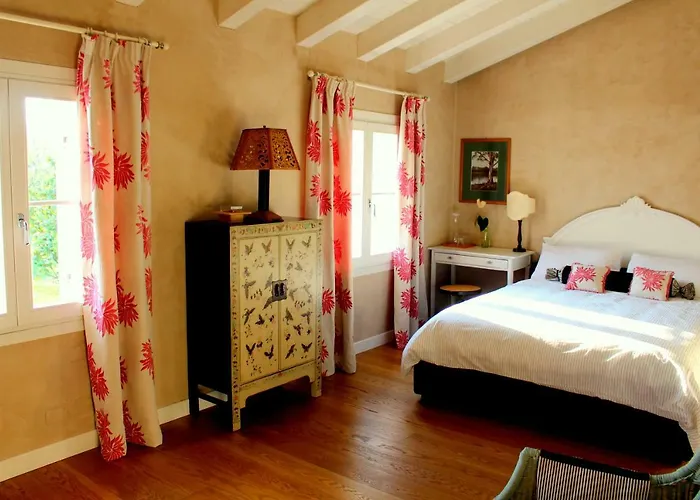 Edera Rossa 特雷维索