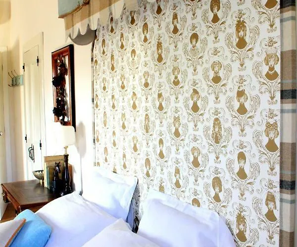 Edera Rossa * 特雷维索