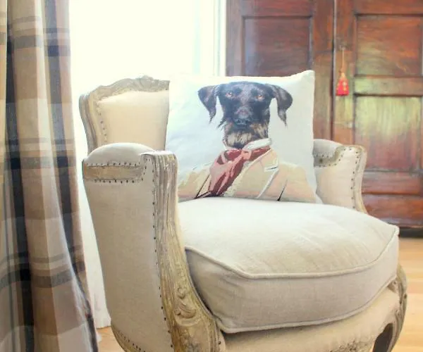 Edera Rossa 特雷维索