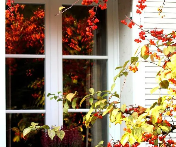 住宿加早餐酒店 Edera Rossa *