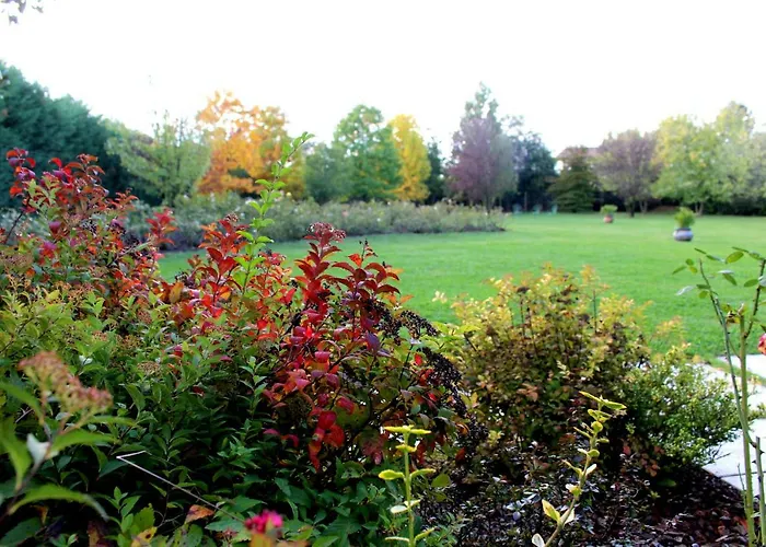 Edera Rossa * 特雷维索